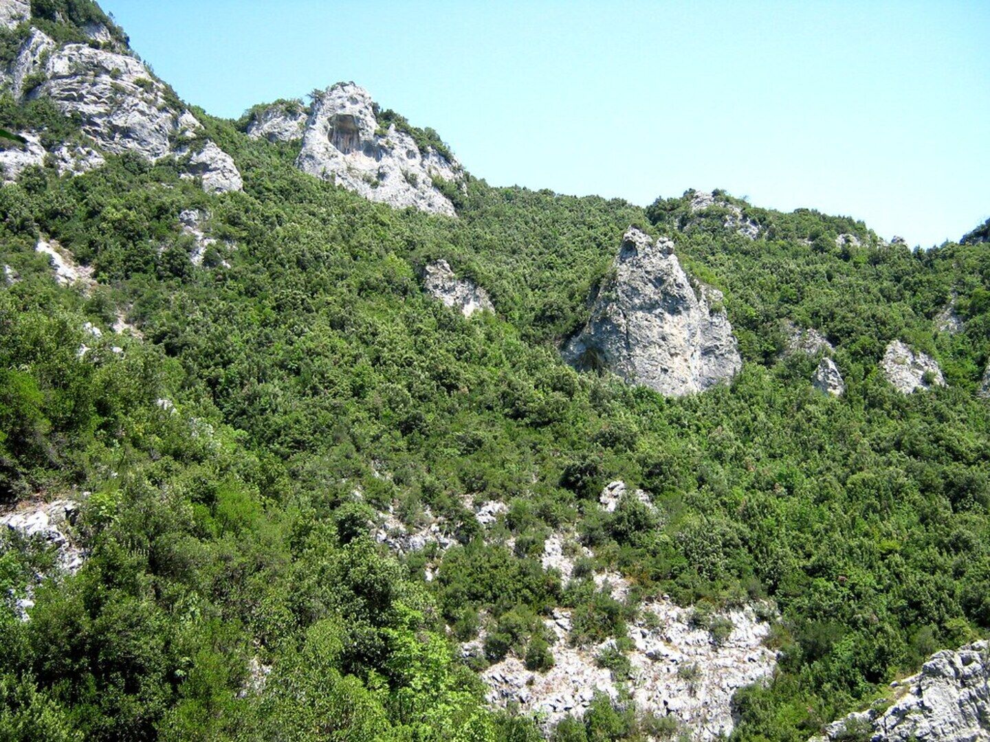 Explore Mount Olympus & Dion: History & Nature Day Trip