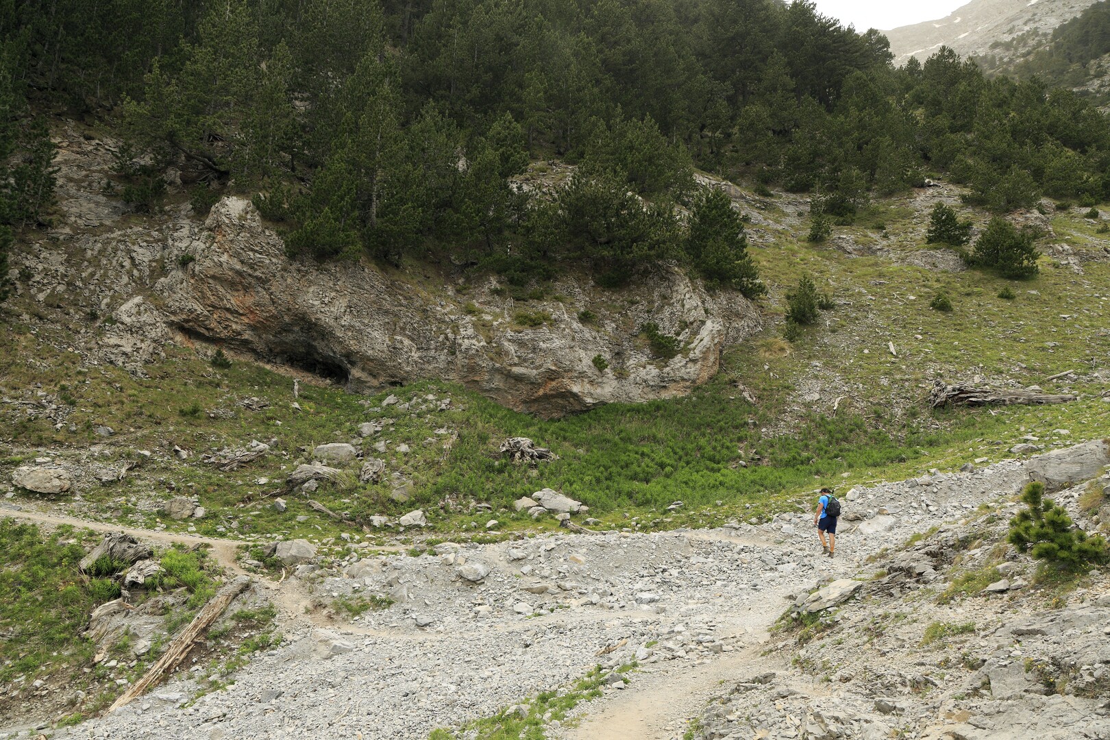 1 Day summit Olympus